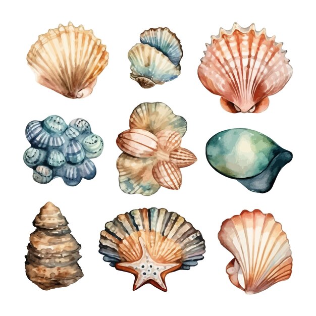 Conjunto de conchas marinas de acuarela en imágenes prediseñadas de mar de ilustración aislada