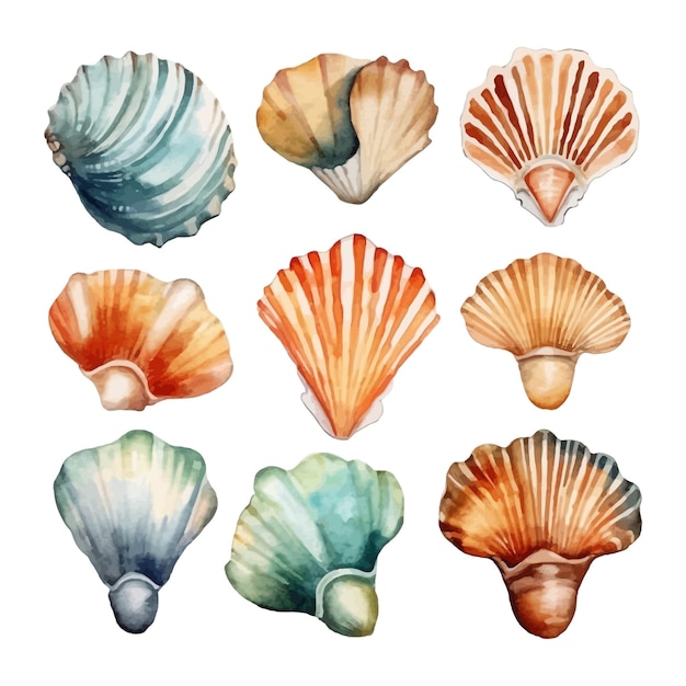 Vector gratuito conjunto de conchas marinas de acuarela en imágenes prediseñadas de mar de ilustración aislada