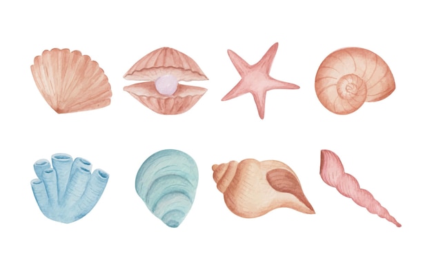Vector gratuito conjunto de conchas marinas acuarelas dibujadas a mano