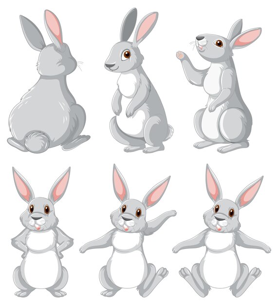 Conjunto de conejos blancos en diferentes poses.