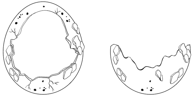 Vector gratuito conjunto de contorno de eclosión de huevos agrietados