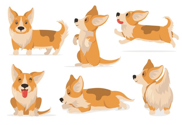 Conjunto de corgi amistoso