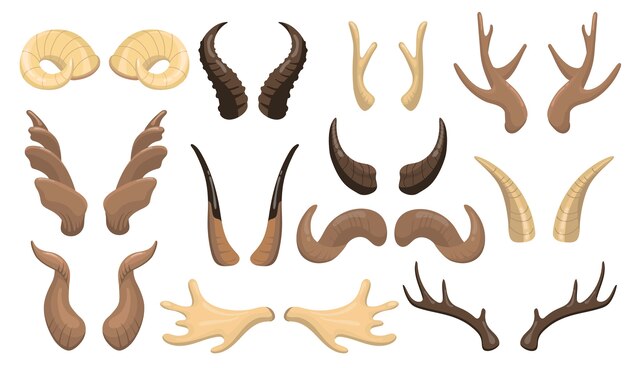 Conjunto de cuernos y astas. Ram, renos, alces, vacas, ciervos, ciervos partes calientes aisladas. Ilustración de vector plano para animales con cuernos machos, trofeo de caza, concepto de decoración.