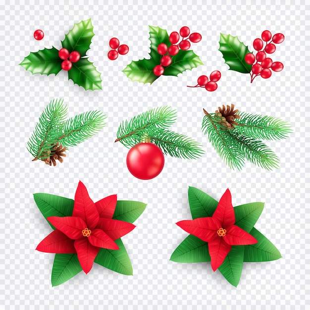 Conjunto de decoraciones florales de Navidad
