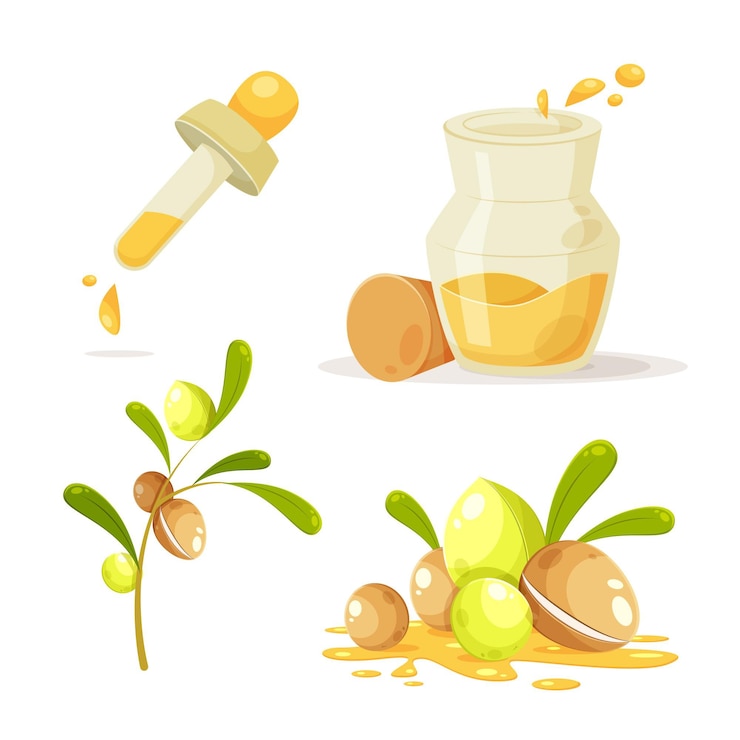 Vector gratuito conjunto detallado de elementos de aceite de argán