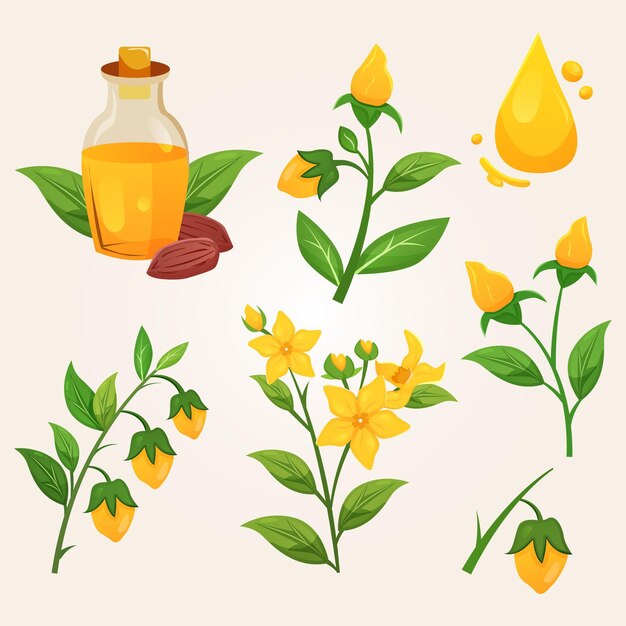 Conjunto detallado de elementos de jojoba