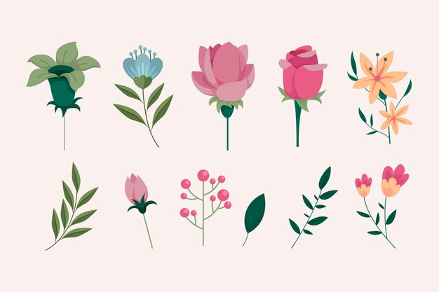 Conjunto detallado de flores de primavera hermosa