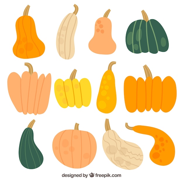 Vector gratuito conjunto dibujado a mano de calabazas naturales