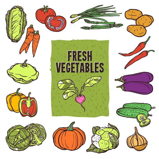 Conjunto de dibujo de verduras