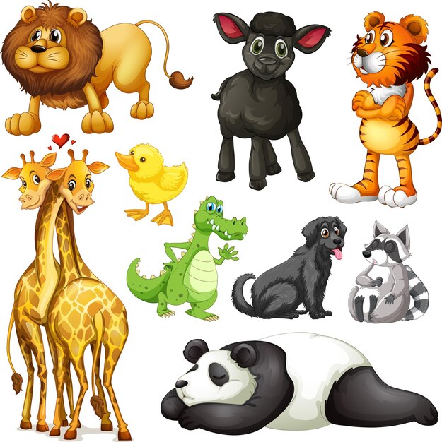 Conjunto de dibujos animados de animales lindos sobre fondo blanco