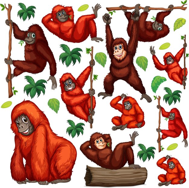 Conjunto de dibujos animados de animales lindos sobre fondo blanco