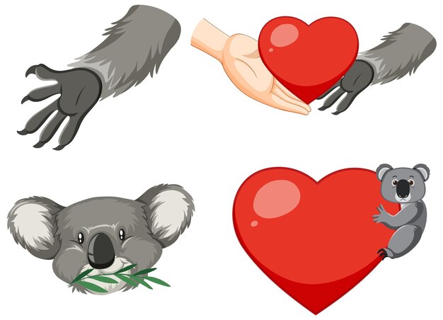 Conjunto de dibujos animados de koala y corazón