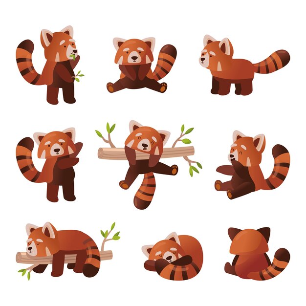 Conjunto de dibujos animados lindo panda rojo