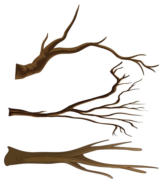 conjunto, de, diferente, árbol, ramas, aislado