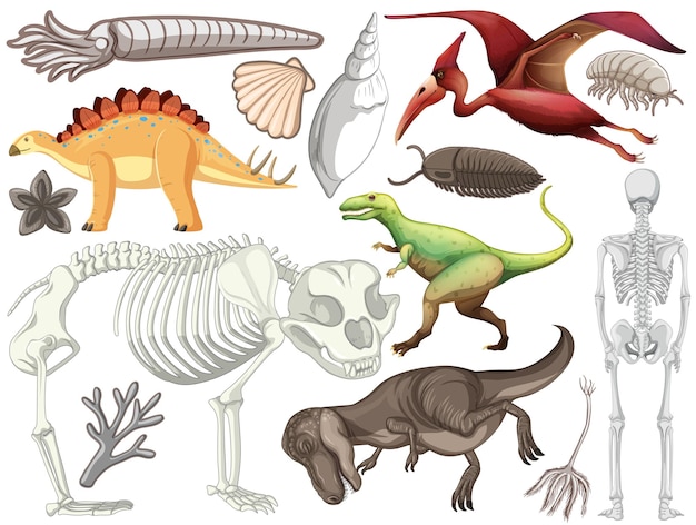 Vector gratuito conjunto de diferentes animales de dinosaurios prehistóricos