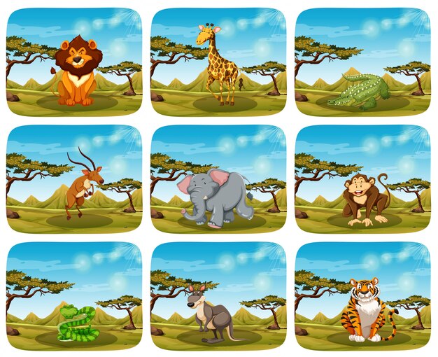 Conjunto de diferentes animales en escenas.