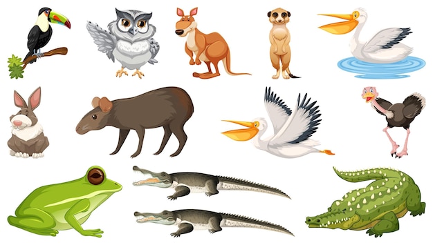 Vector gratuito conjunto de diferentes animales salvajes.