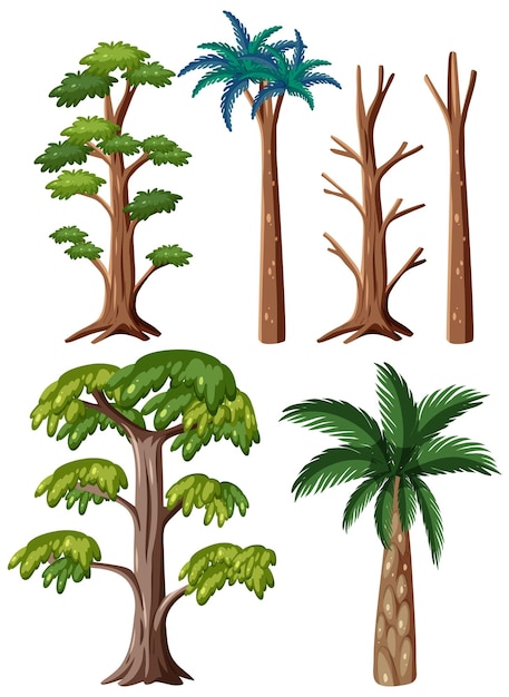Vector gratuito conjunto de diferentes árboles prehistóricos