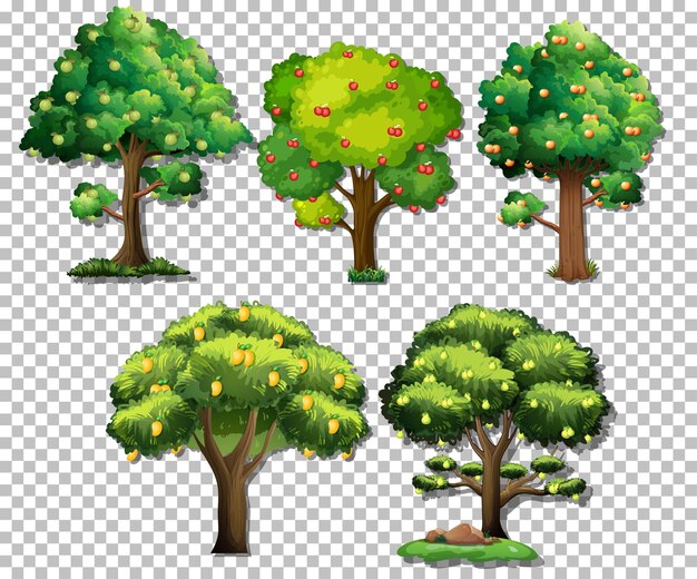 Conjunto de diferentes árboles sobre fondo transparente