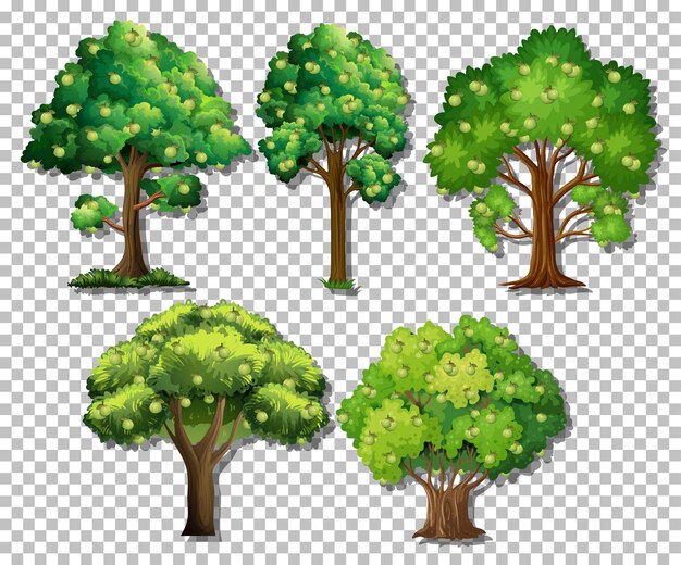 Conjunto de diferentes árboles sobre fondo transparente