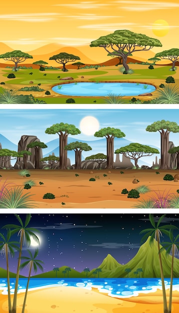 Conjunto de diferentes escenas horizontales de bosque en diferentes momentos.