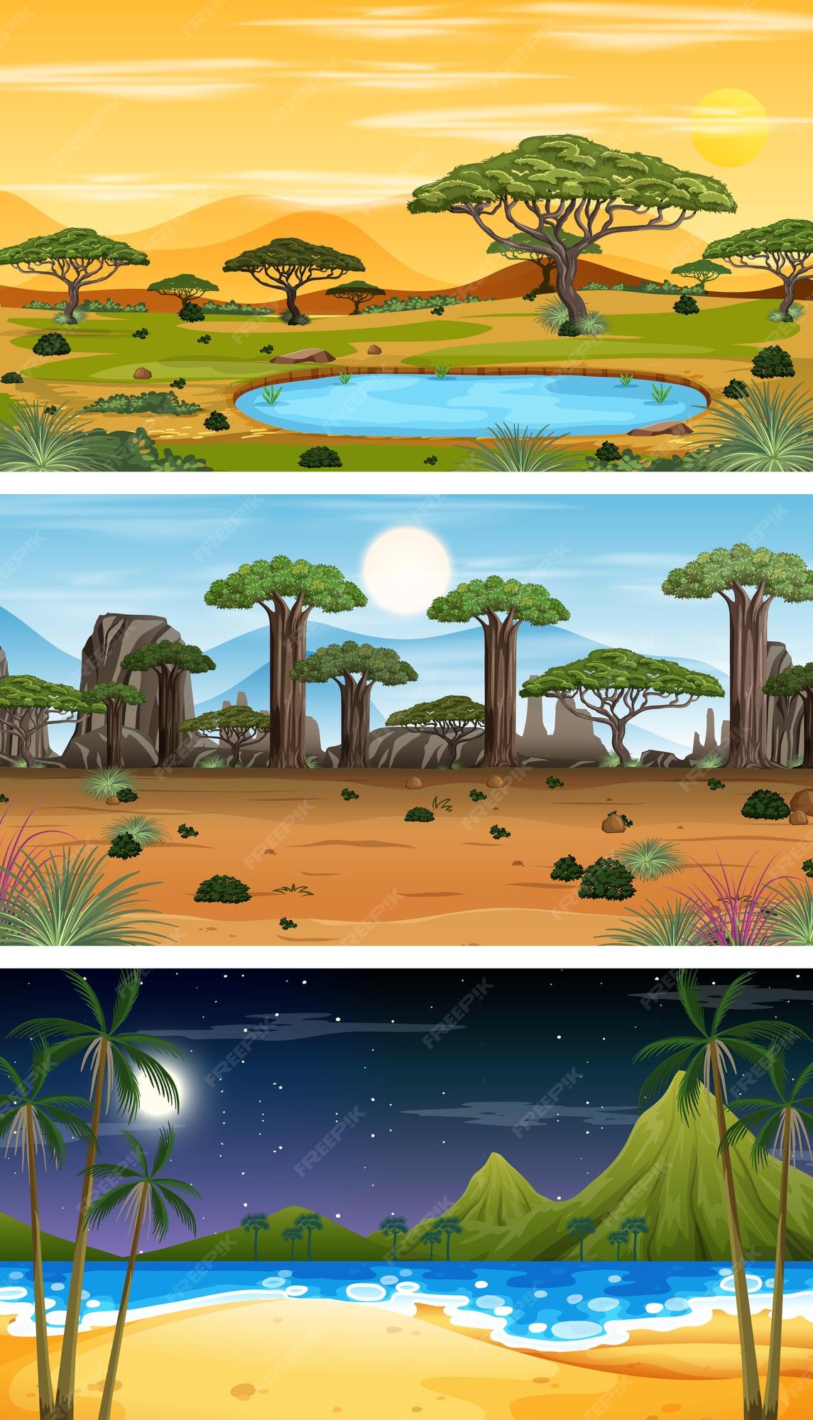 Conjunto de diferentes escenas horizontales de bosque en diferentes  momentos. | Vector Gratis