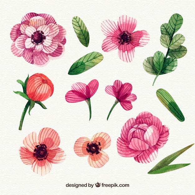 Vector gratuito conjunto de diferentes flores