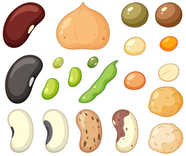 Conjunto de diferentes frutos secos