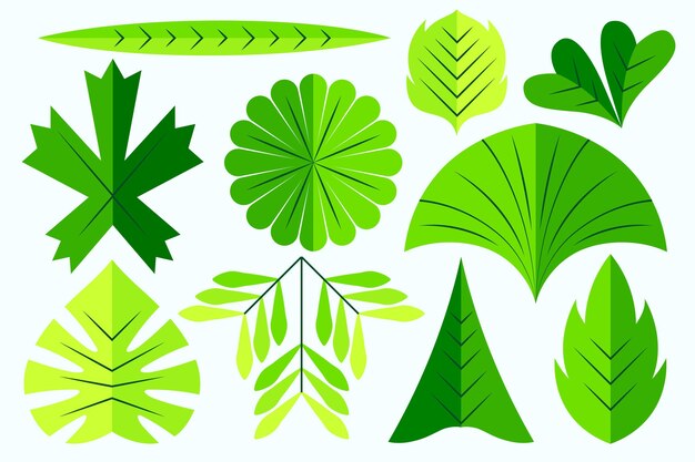 Conjunto de diferentes hojas verdes de diseño plano
