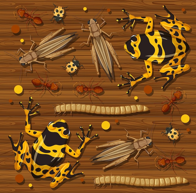 Conjunto de diferentes insectos sobre fondo de papel tapiz de madera