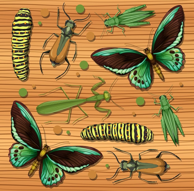 Vector gratuito conjunto de diferentes insectos sobre fondo de papel tapiz de madera