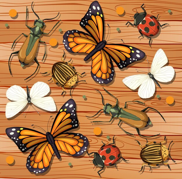 Conjunto de diferentes insectos sobre fondo de papel tapiz de madera