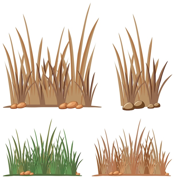 Vector gratuito conjunto de diferentes matas de hierba