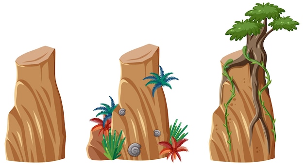 Conjunto de diferentes objetos del bosque.