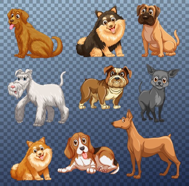 Conjunto de diferentes perros aislados