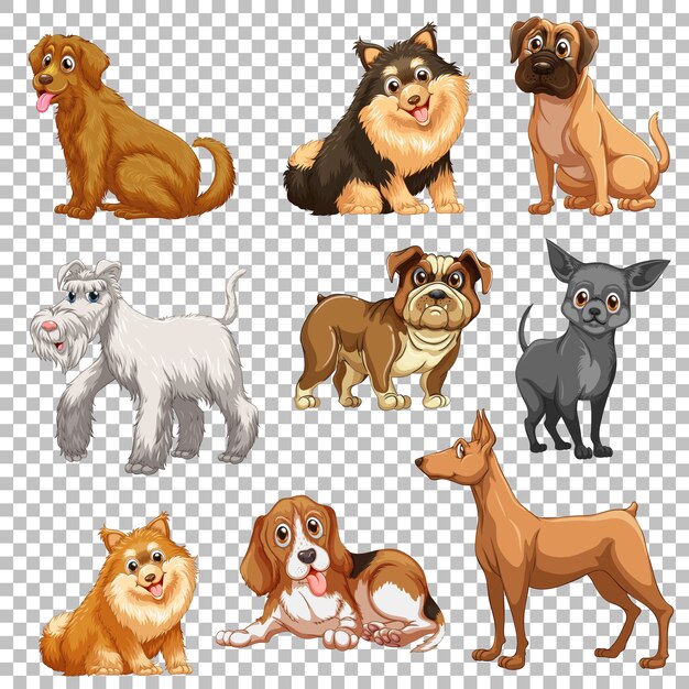 Conjunto de diferentes perros aislados