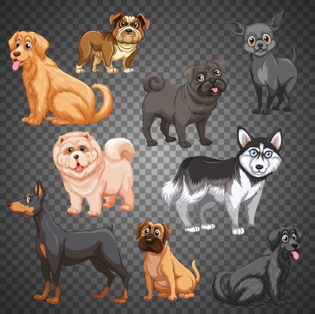 Conjunto de diferentes perros aislados