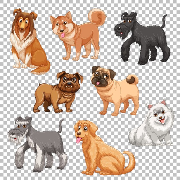 Conjunto de diferentes perros aislados