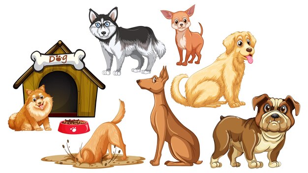 Conjunto de diferentes perros lindos en estilo de dibujos animados