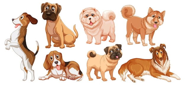 Conjunto de diferentes perros lindos en estilo de dibujos animados