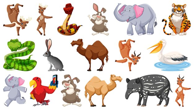 Conjunto de diferentes personajes de dibujos animados de animales salvajes.