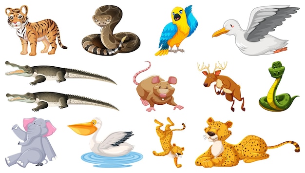 Conjunto de diferentes personajes de dibujos animados de animales salvajes.