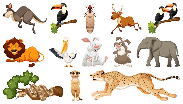 Conjunto de diferentes personajes de dibujos animados de animales salvajes.