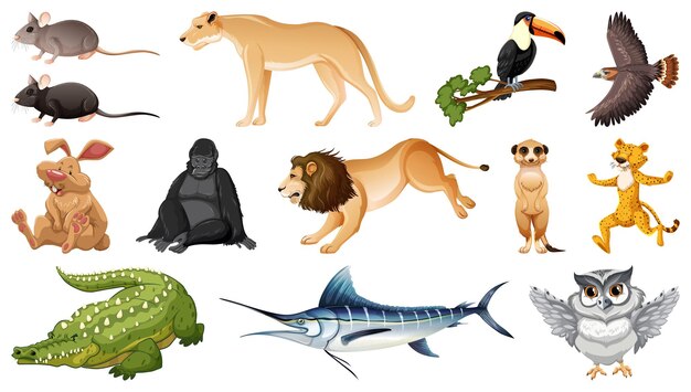 Conjunto de diferentes personajes de dibujos animados de animales salvajes.