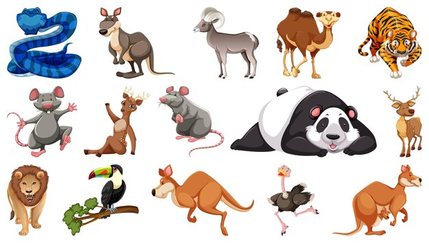 Conjunto de diferentes personajes de dibujos animados de animales salvajes