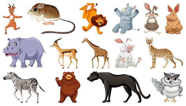Conjunto de diferentes personajes de dibujos animados de animales salvajes