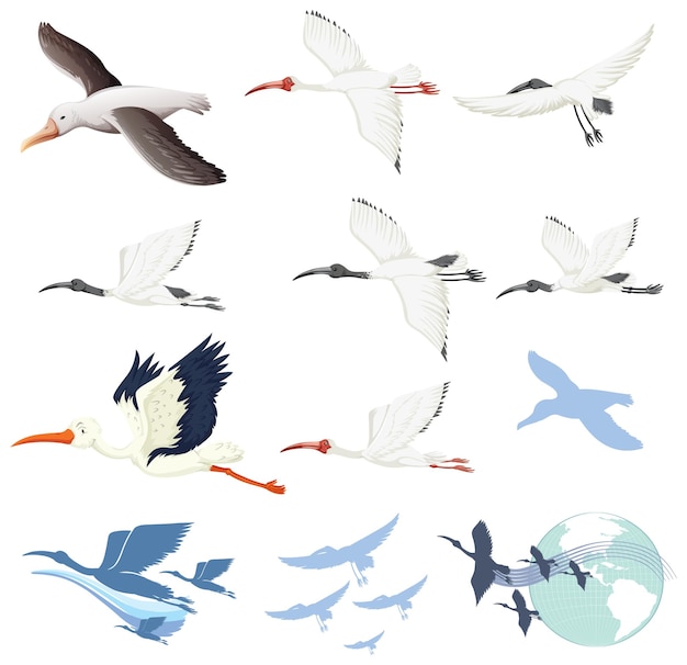 Vector gratuito conjunto de diferentes personajes de dibujos animados de aves