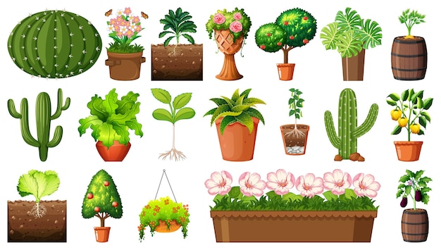 Conjunto de diferentes plantas en macetas aislado sobre fondo blanco.