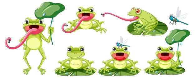 Conjunto de diferentes ranas en estilo de dibujos animados