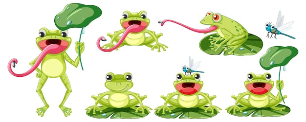 Conjunto de diferentes ranas en estilo de dibujos animados